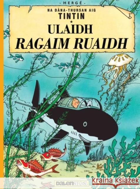 Ulaid Ragaim Ruaidh Herge 9781913573102 Dalen (Llyfrau) Cyf - książka