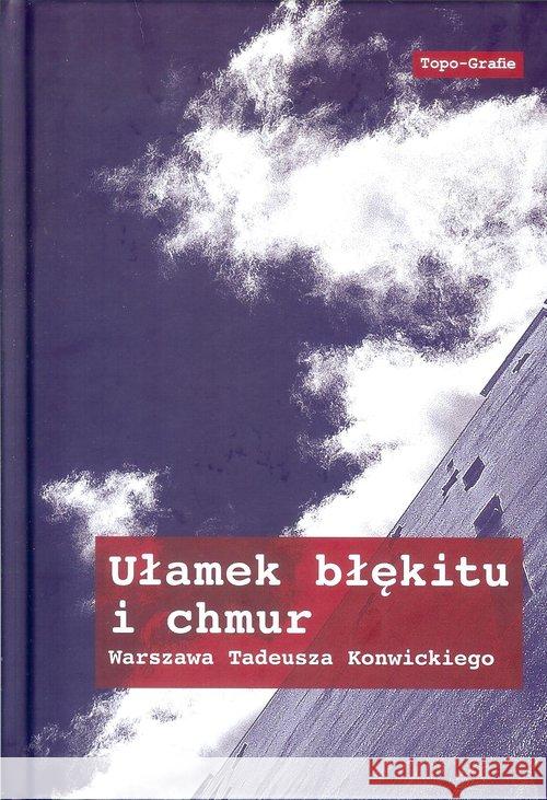 Ułamek błękitu i chmur  9788365112071 Lampa i Iskra Boża - książka
