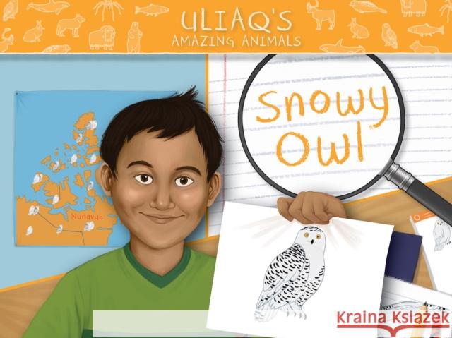 Uliaq's Amazing Animals: Snowy Owl: English Edition Amelia Spedaliere Amanda Sandland 9781774500682 Inhabit Education Books Inc. - książka