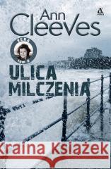 Ulica milczenia Ann Cleeves 9788324183463 Amber - książka