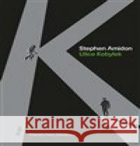 Ulice Kobylek Stephen Amidon 9788025740101 Argo - książka