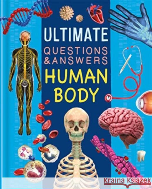 Ultimate Questions & Answers: Human Body Autumn Publishing 9781837714476 Bonnier Books Ltd - książka