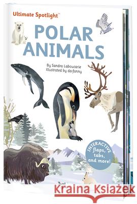 Ultimate Spotlight: Polar Animals Sandra Laboucarie 9791027608782 Tourbillon - książka