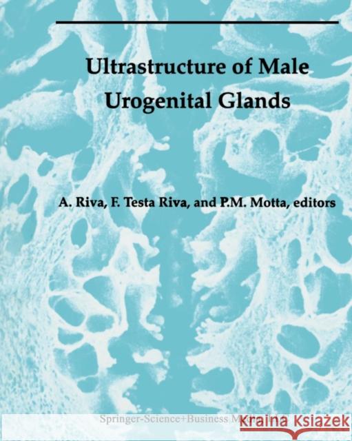 Ultrastructure of the Male Urogenital Glands: Prostate, Seminal Vesicles, Urethral, and Bulbourethral Glands Riva, Allessandro 9781461361251 Springer - książka