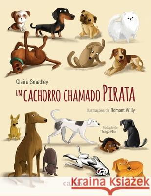 Um cachorro chamado Pirata Claire Smedley 9788545400998 Callis Editora Ltda. - książka