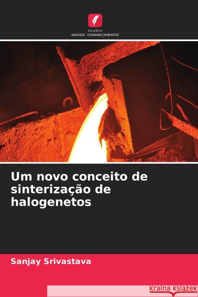 Um novo conceito de sinteriza??o de halogenetos Sanjay Srivastava 9786208143763 Edicoes Nosso Conhecimento - książka