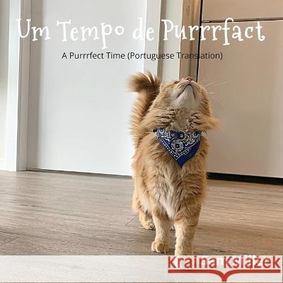 Um Tempo de Purrrfact Sam Miller 9781777303884 Armed Bandit Publishing - książka