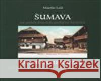 Šumava na pohlednicích ateliéru Seidel. Der Bohmerwald auf den Ansichtskarten des Ateliers Seidel. Martin Leiš 9788088121145 Baron - książka
