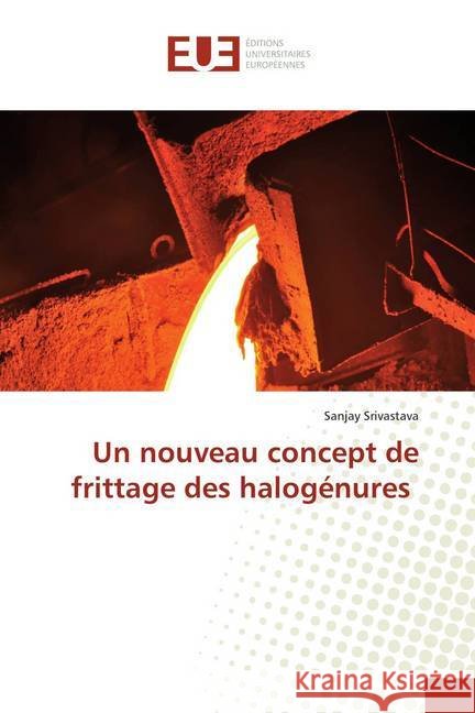 Un nouveau concept de frittage des halogénures Srivastava, Sanjay 9786139543144 Éditions universitaires européennes - książka