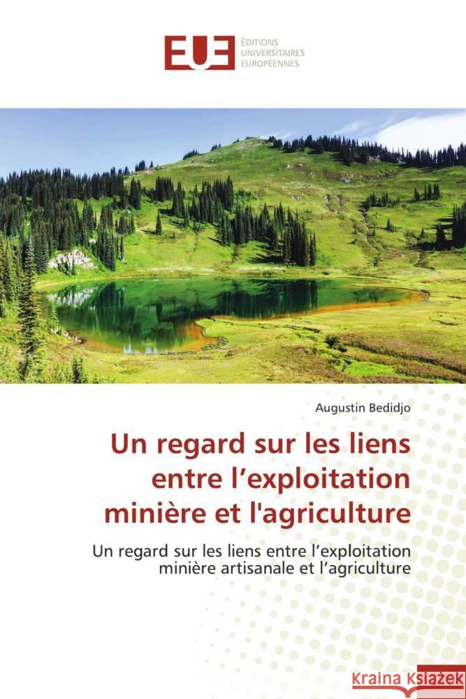 Un regard sur les liens entre l'exploitation minière et l'agriculture Bedidjo, Augustin 9786139509218 Éditions universitaires européennes - książka