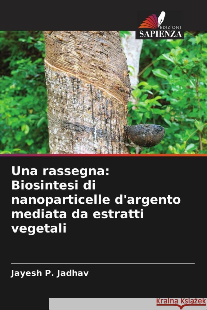 Una rassegna: Biosintesi di nanoparticelle d'argento mediata da estratti vegetali Jadhav, Jayesh P. 9786204939643 Edizioni Sapienza - książka