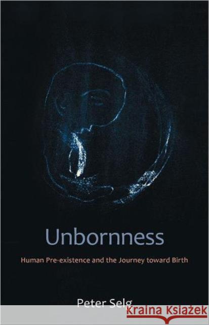 Unbornness: Human Pre-Existence and the Journey Toward Birth Peter Selg 9780880107181 Anthroposophic Press Inc - książka