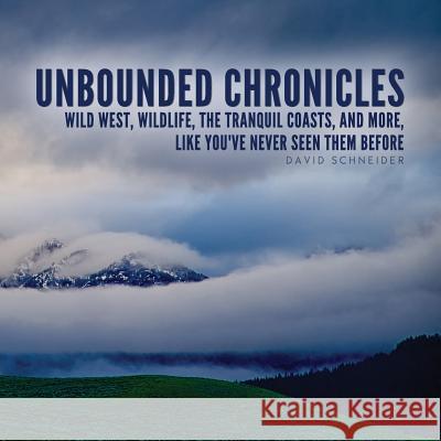 Unbounded Chronicles David Schneider Bobbi Christmas 9780983896746 Fringe Publishing - książka