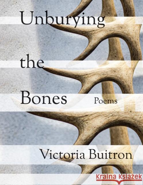 Unburying the Bones: Poems Volume 1 Victoria Buitron 9781680034462 Texas Review Press - książka
