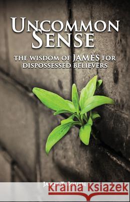 Uncommon Sense: The Wisdom of James for Dispossessed Believers South, James T. 9781936341665 Deward Publishing - książka