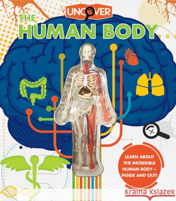 Uncover the Human Body Luann Colombo Craig Zuckerman Jennifer Fairman 9781684125494 Silver Dolphin Books - książka