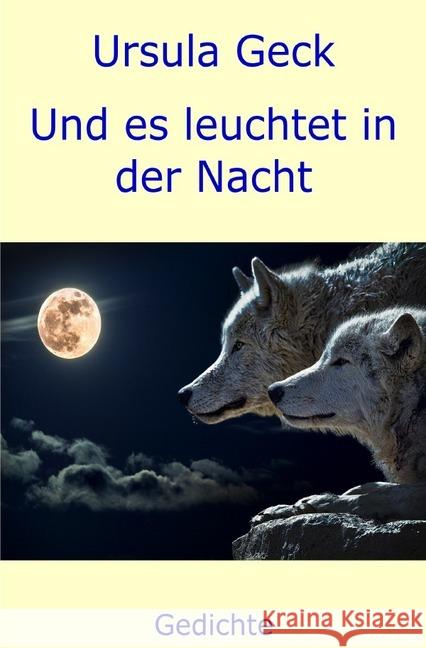 Und es leuchtet in der Nacht Geck, Ursula 9783748536253 epubli - książka