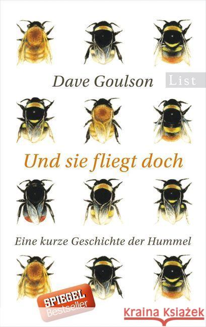 Und sie fliegt doch : Eine kurze Geschichte der Hummel Goulson, Dave 9783548612812 List TB. - książka