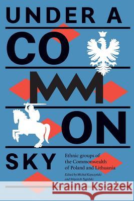 Under a Common Sky: Ethnic Groups of the Commonwealth of Poland and Lithuania Michal Kopczyński 9788365248183 Piasa Books - książka