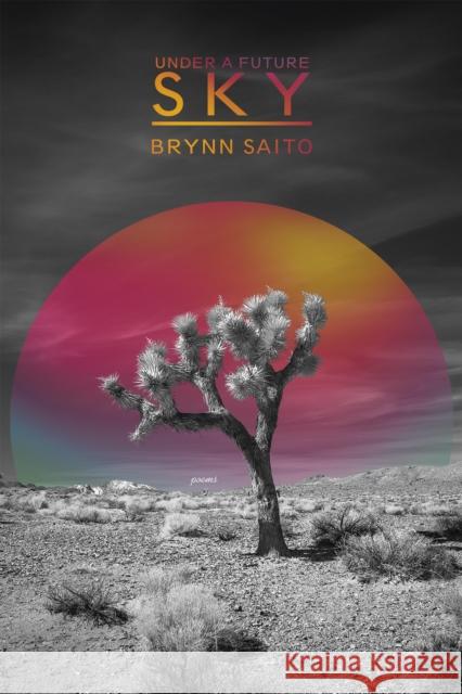 Under a Future Sky Brynn Saito 9781636281070 Red Hen Press - książka