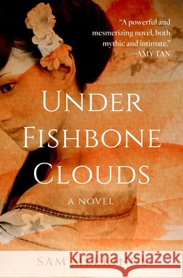Under Fishbone Clouds Sam Meekings 9781504093736 Open Road Media - książka