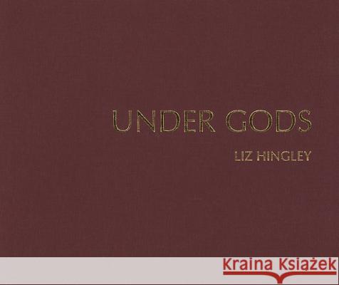Under Gods: Stories from the Soho Road Hingley, Liz 9781907893070  - książka