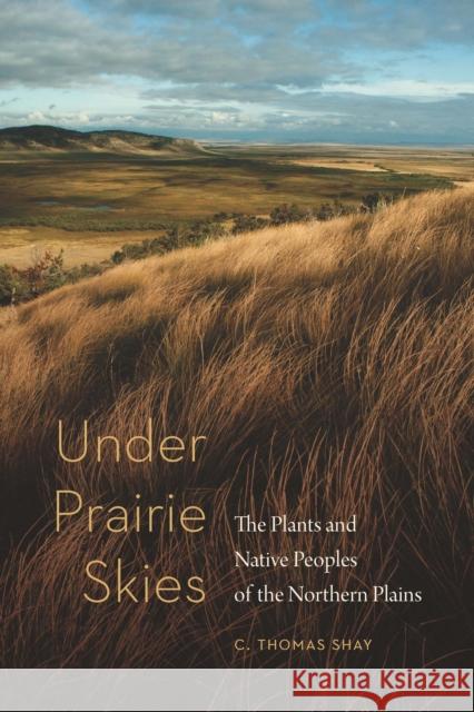 Under Prairie Skies: The Plants and Native Peoples of the Northern Plains C. Thomas Shay 9781496223388 Bison Books - książka