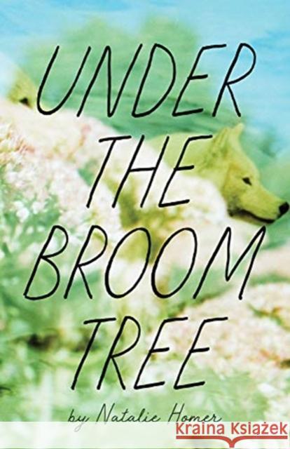 Under the Broom Tree Natalie Homer 9781938769993 Autumn House Press - książka