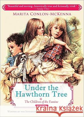 Under the Hawthorn Tree Marita Conlon-McKenna 9781402219061 Sourcebooks Jabberwocky - książka