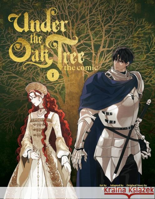 Under the Oak Tree, Vol. 1 Suji Kim 9781911720225 Cornerstone - książka