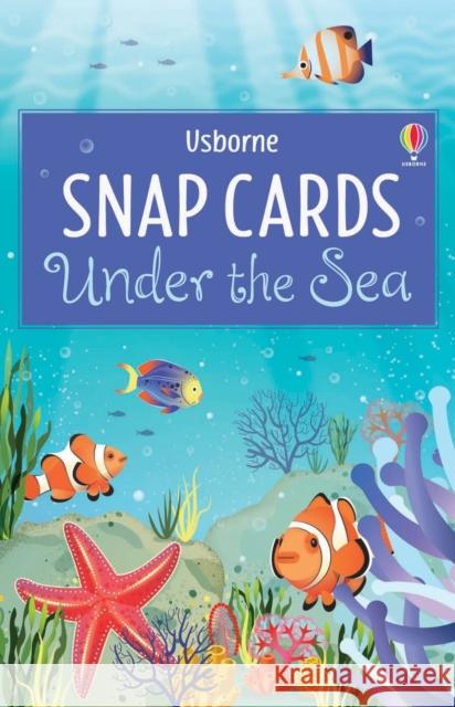 Under the Sea Snap Lucy Bowman 9781474936743 Usborne Publishing Ltd - książka