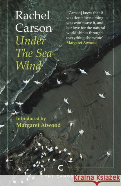 Under the Sea-Wind Rachel Carson 9781786899279 Canongate Books - książka