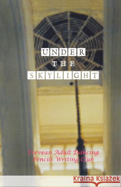 Under the Skylight Felicity Keats 9781869007898 UMSINSI PRESS - książka