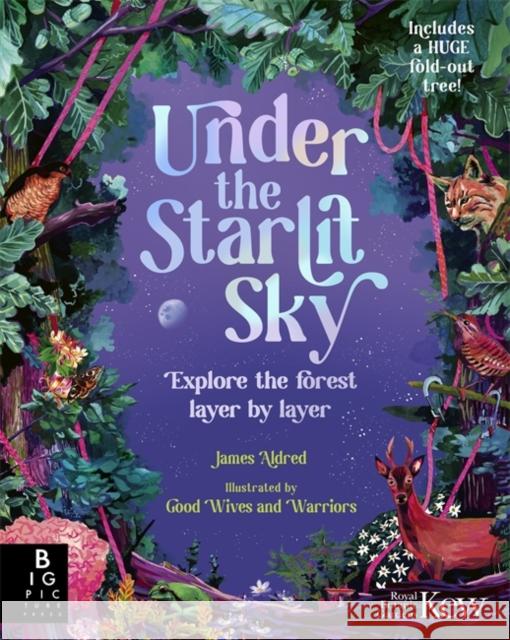 Under the Starlit Sky: Explore the Forest Layer By Layer James Aldred 9781800787377 Templar Books - książka