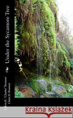 Under the Sycamore Tree Claire H. Brunner Calvin R. Brunner 9781491292815 Createspace Independent Publishing Platform - książka