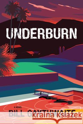 Underburn Bill Gaythwaite 9781953002266 Delphinium Books - książka
