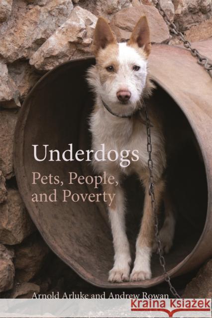 Underdogs: Pets, People, and Poverty Arnold Arluke Andrew Rowan 9780820358222 University of Georgia Press - książka