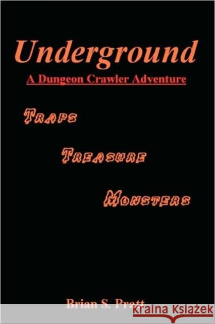 Underground: A Dungeon Crawler Adventure Pratt, Brian S. 9781438287553 Briansprattbooks - książka