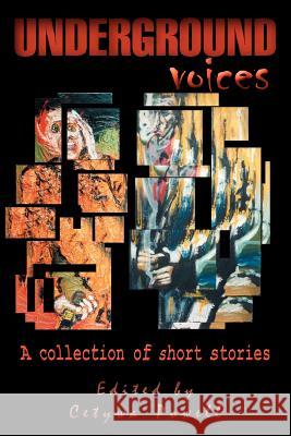 Underground Voices: a collection of short stories Powell, Cetywa 9780595380923 iUniverse - książka