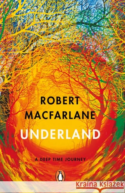 Underland: A Deep Time Journey Macfarlane Robert 9780141030579 Penguin Books Ltd - książka