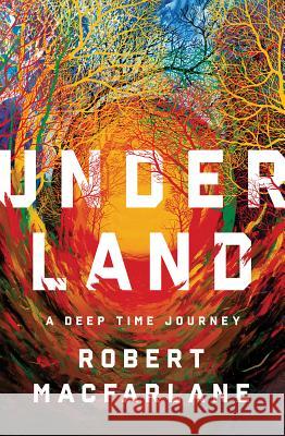 Underland: A Deep Time Journey MacFarlane, Robert 9780393242140  - książka