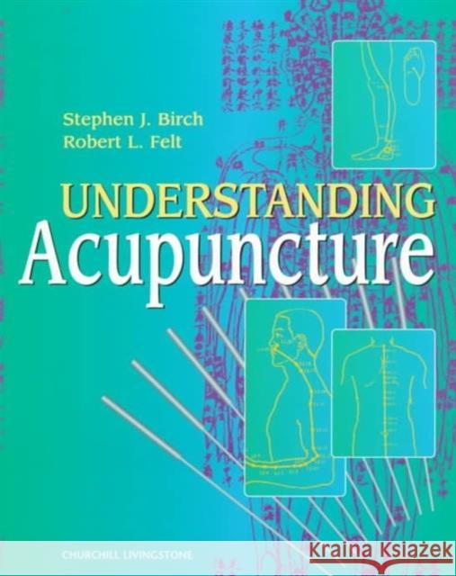Understanding Acupuncture Robert L. Felt Stephen Birch 9780443061790 Churchill Livingstone - książka