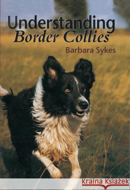 Understanding Border Collies Barbara Sykes 9781861262806 The Crowood Press Ltd - książka