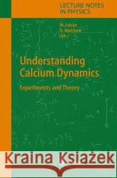 Understanding Calcium Dynamics: Experiments and Theory Martin Falcke, Dieter Malchow 9783642073021 Springer-Verlag Berlin and Heidelberg GmbH &  - książka