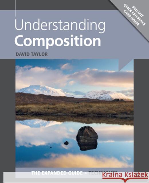 Understanding Composition David Taylor 9781781450512 GUILD OF MASTER CRAFTSMEN - książka