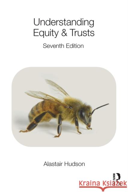 Understanding Equity & Trusts Alastair Hudson 9781138506268 Taylor & Francis Ltd - książka