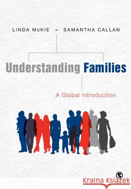 Understanding Families McKie, Linda 9781847879325  - książka