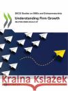 Understanding Firm Growth Oecd 9789264933453 Org. for Economic Cooperation & Development
