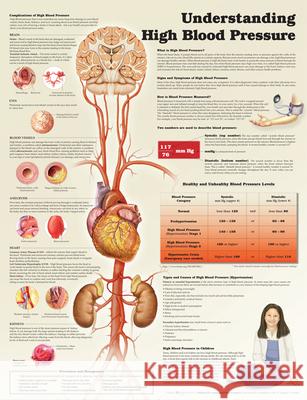 Understanding High Blood Pressure Anatomical Chart Company   9781469872889 Lippincott Williams and Wilkins - książka