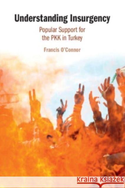 Understanding Insurgency Francis O'Connor 9781108971508 Cambridge University Press - książka